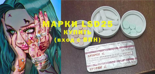 шишки Инсар