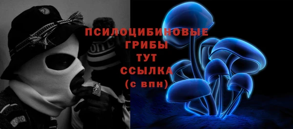 ешки Алексин