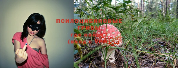 ешки Алексин