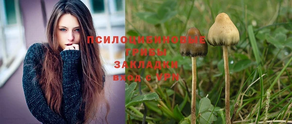 дурь Алзамай