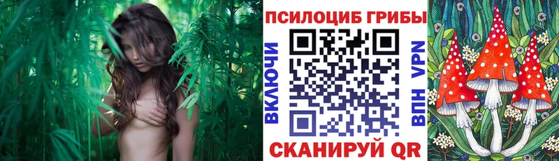 Псилоцибиновые грибы GOLDEN TEACHER  Константиновск 